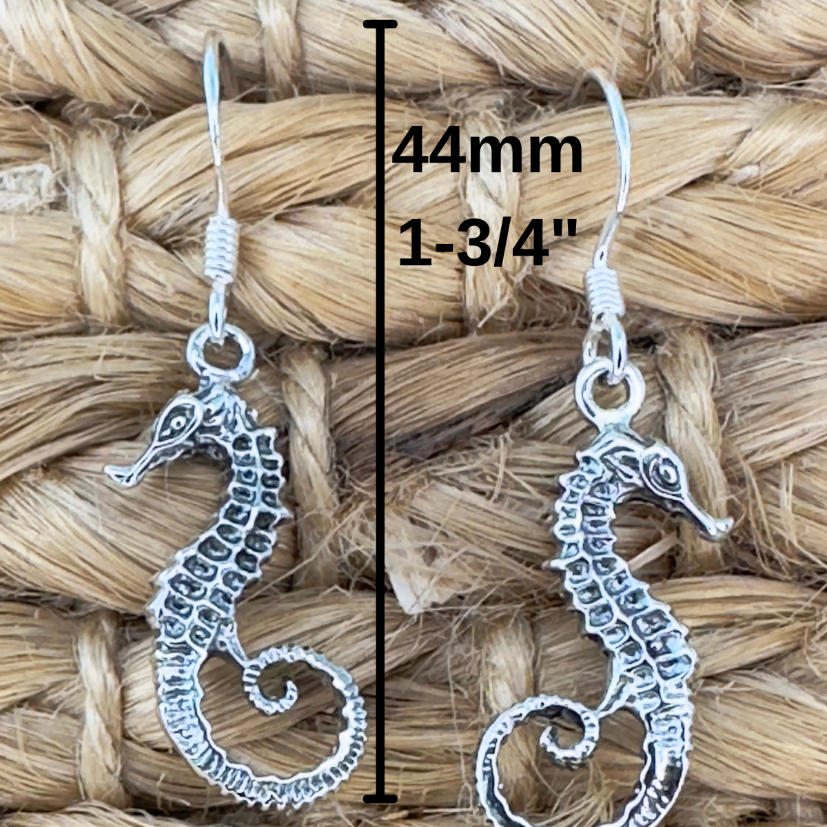 Seahorse Earrings – Coastal Ocean Design, Sterling Silver