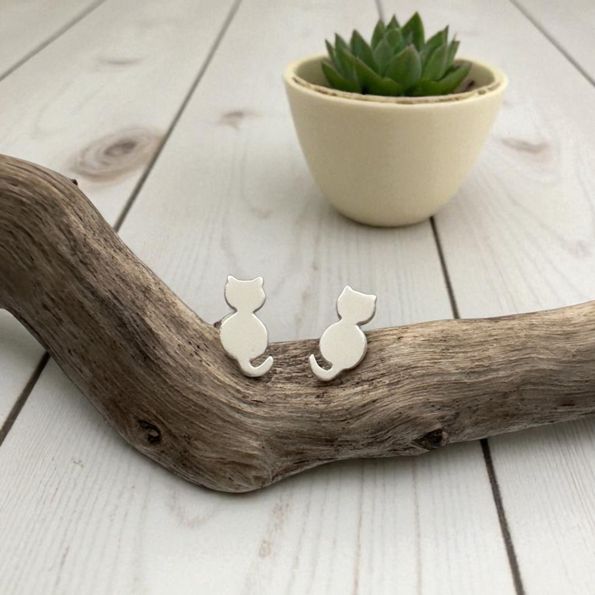 Cat-shaped earrings on a wooden surface with a small plant in the background